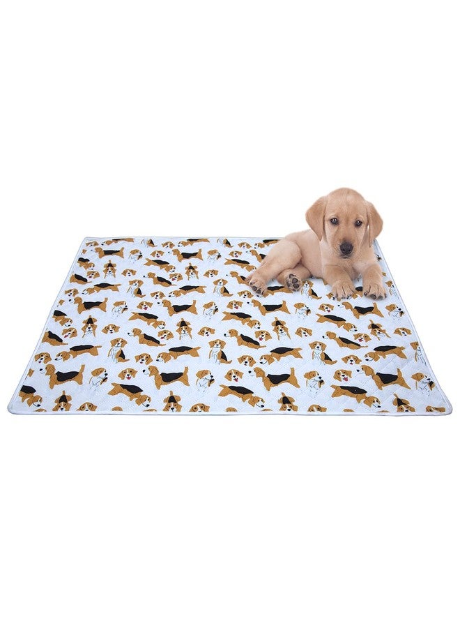 AAZEEM Soft Light Weight Mat for Dogs,Cats & Pets, (Size-M),Multi - Image 1